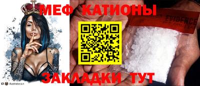 мяу мяу мука Камышлов