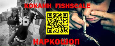 крисы Кингисепп