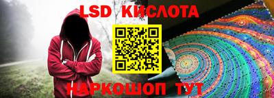 крисы Кингисепп