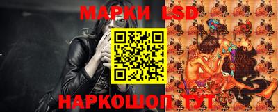 крисы Кингисепп