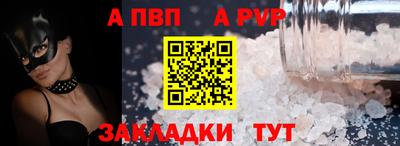 крисы Кингисепп