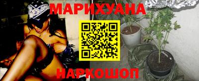 крисы Кингисепп