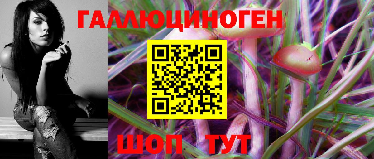 Галлюциногенные грибы мухоморы Коммунар